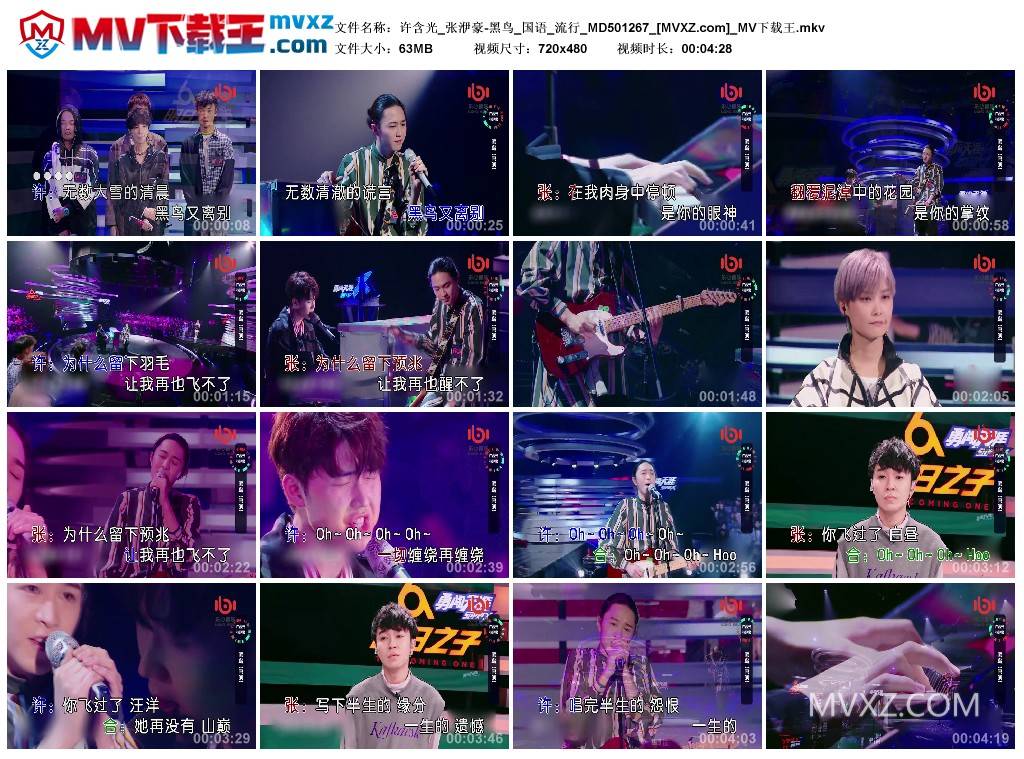 许含光_张洢豪-黑鸟_国语_流行_MD501267